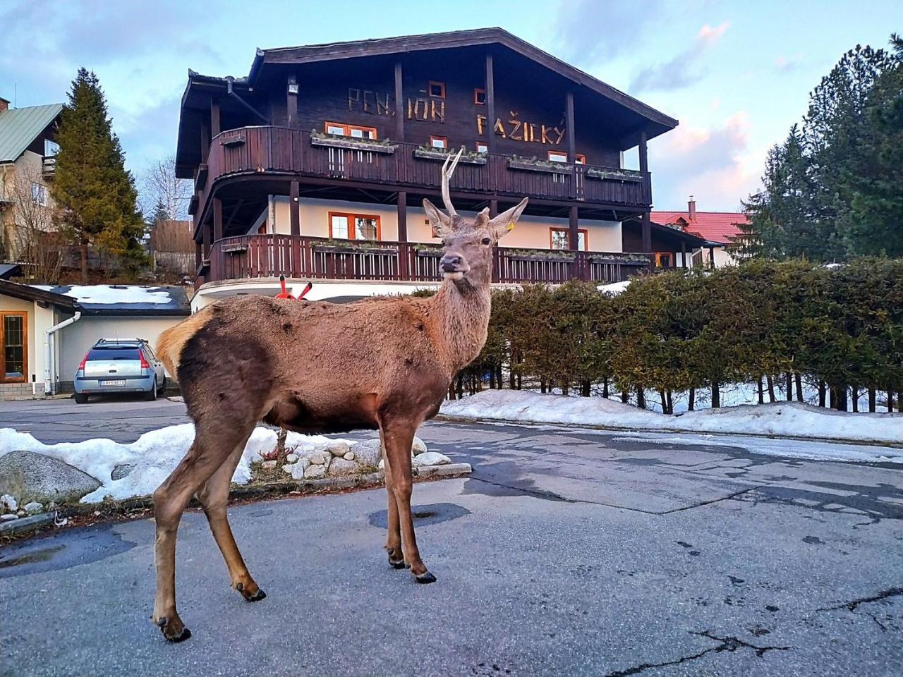 Penzion Pažický Stará Lesná Exterior foto