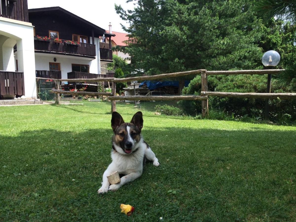 Penzion Pažický Stará Lesná Exterior foto